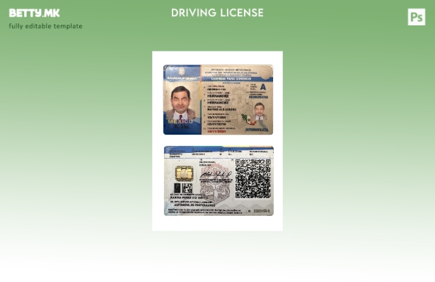 Модерен стил шаблон за државна возачка дозвола Мексико Долна Калифорнија